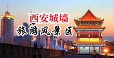 发骚了想操逼逼啊中国陕西-西安城墙旅游风景区