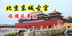 操美女小穴视频中国北京-东城古宫旅游风景区